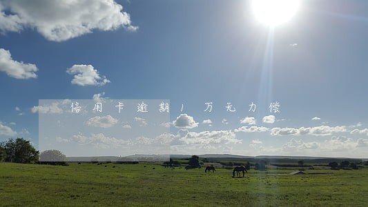 信用卡逾期1万无力偿 信用卡逾期1万无力偿
