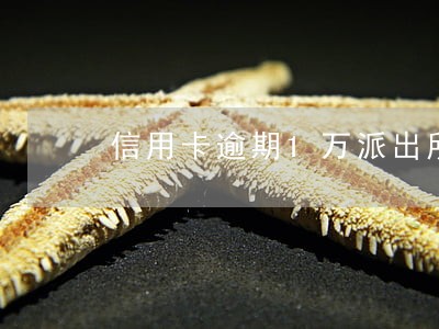 信用卡逾期1万派出所打电话传唤