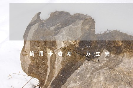 信用卡逾期1万立安
