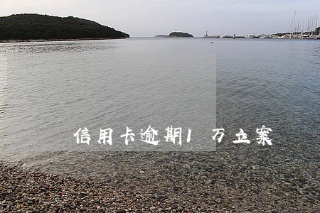 信用卡逾期1万立案