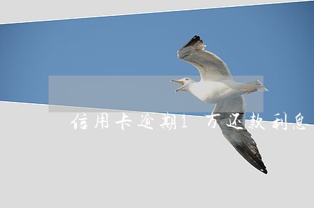 信用卡逾期1万还款利息是多少 信用卡逾期1万还款利息是多少
