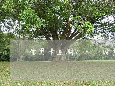 信用卡逾期1个小时严重吗 信用卡逾期1个小时严重吗