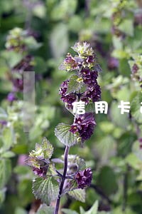 信用卡逾期1个星期会影响吗 信用卡逾期1个星期会影响吗