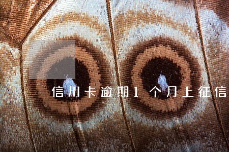 信用卡逾期1个月上征信吗 信用卡逾期1个月上征信吗