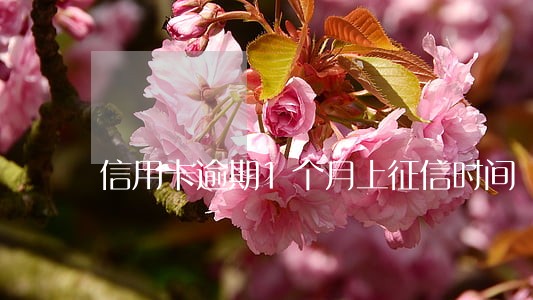 信用卡逾期1个月上征信时间 信用卡逾期1个月上征信时间