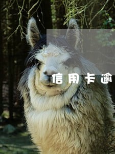 信用卡逾期1个月不打算还了 信用卡逾期1个月不打算还了