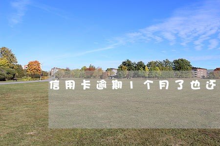 信用卡逾期1个月了也还了一些 信用卡逾期1个月了也还了一些