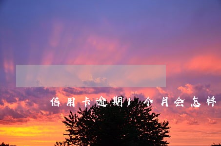 信用卡逾期1个月会怎样 信用卡逾期1个月会怎样