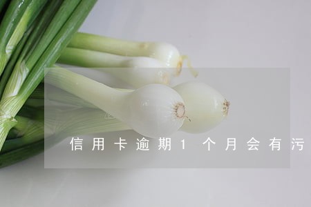 信用卡逾期1个月会有污点吗 信用卡逾期1个月会有污点吗