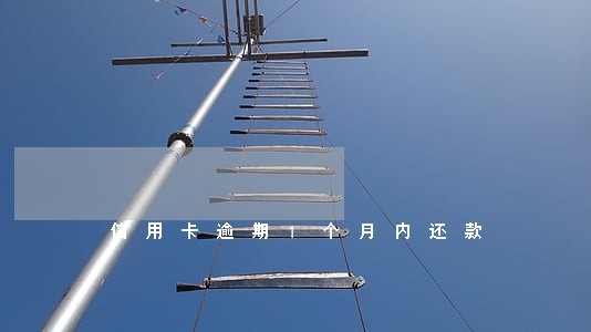 信用卡逾期1个月内还款