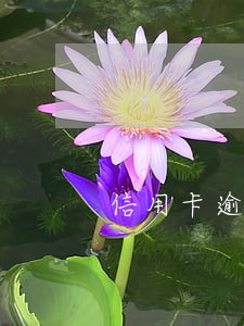 信用卡逾期1个月利息多少 信用卡逾期1个月利息多少