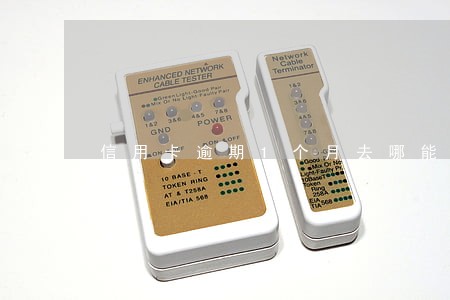 信用卡逾期1个月去哪能借钱 信用卡逾期1个月去哪能借钱