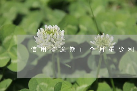 信用卡逾期1个月多少利息