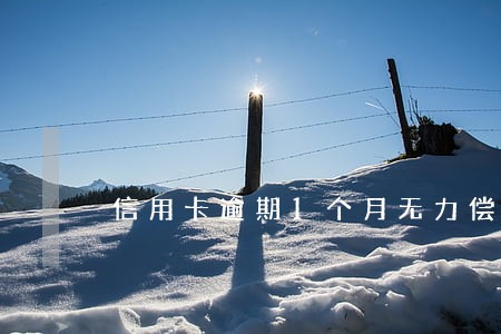 信用卡逾期1个月无力偿还 信用卡逾期1个月无力偿还