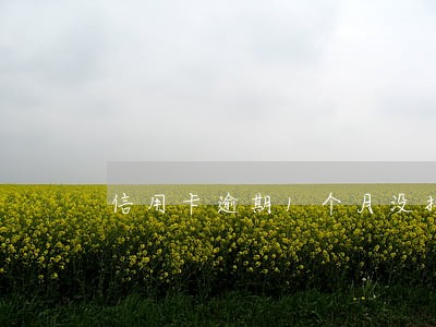 信用卡逾期1个月没接到电话 信用卡逾期1个月没接到电话