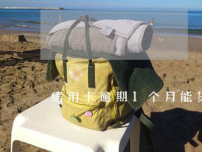 信用卡逾期1个月能贷款吗 信用卡逾期1个月能贷款吗