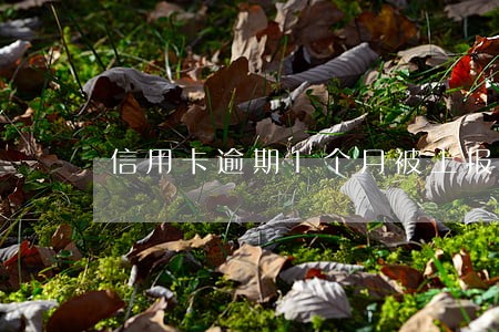 信用卡逾期1个月被上报征信 信用卡逾期1个月被上报征信