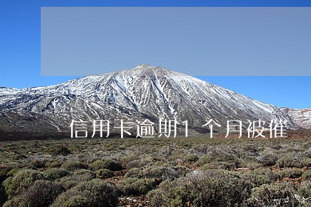 信用卡逾期1个月被催 信用卡逾期1个月被催