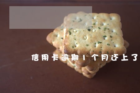信用卡逾期1个月还上了