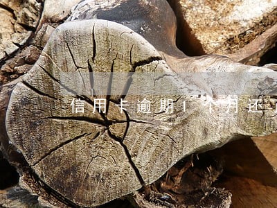 信用卡逾期1个月还了还有额度吗 信用卡逾期1个月还了还有额度吗