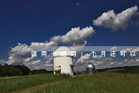 信用卡逾期1个月还可以刷吗 信用卡逾期1个月还可以刷吗