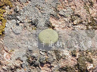 信用卡逾期1元有没有影响 信用卡逾期1元有没有影响