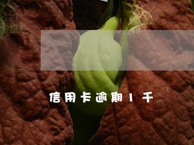 信用卡逾期1千 信用卡逾期1千