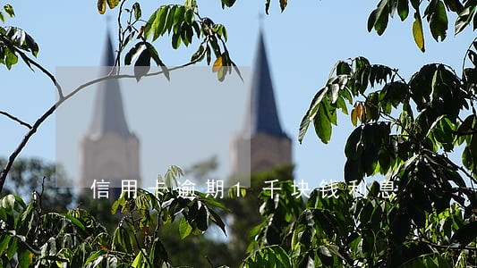 信用卡逾期1千块钱利息 信用卡逾期1千块钱利息