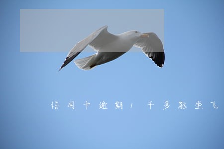 信用卡逾期1千多能坐飞机吗