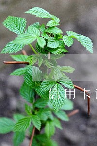 信用卡逾期1周会上征信吗 信用卡逾期1周会上征信吗
