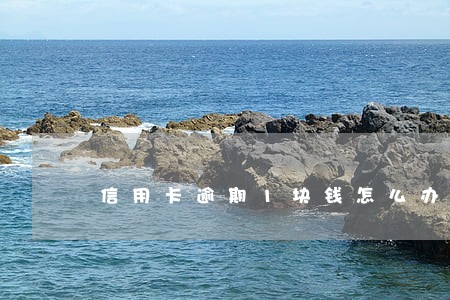 信用卡逾期1块钱怎么办 信用卡逾期1块钱怎么办