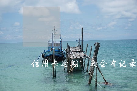 信用卡逾期1天会有记录吗