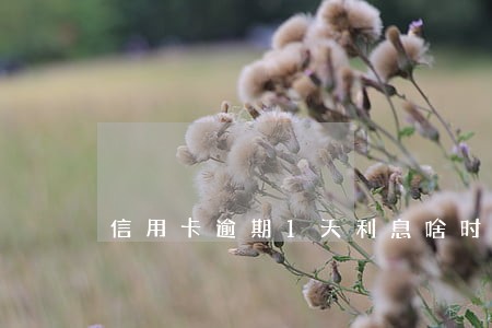 信用卡逾期1天利息啥时候扣 信用卡逾期1天利息啥时候扣