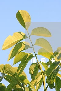 信用卡逾期1天和30天