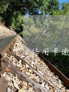 信用卡逾期1天和90天的区别 信用卡逾期1天和90天的区别