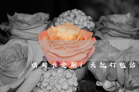 信用卡逾期1天就打电话 信用卡逾期1天就打电话