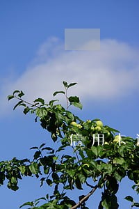 信用卡逾期1天影响大吗
