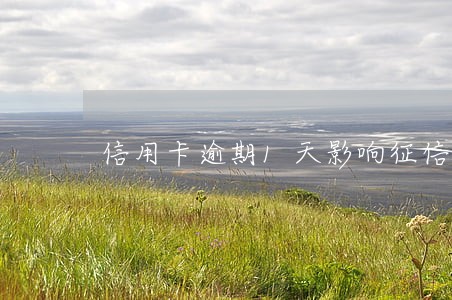 信用卡逾期1天影响征信吗 信用卡逾期1天影响征信吗