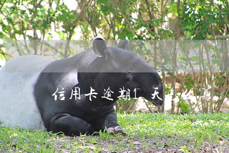 信用卡逾期1天怎么算 信用卡逾期1天怎么算