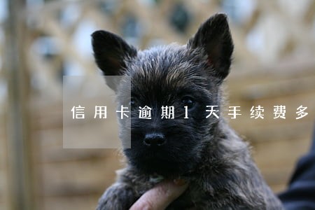信用卡逾期1天手续费多少钱