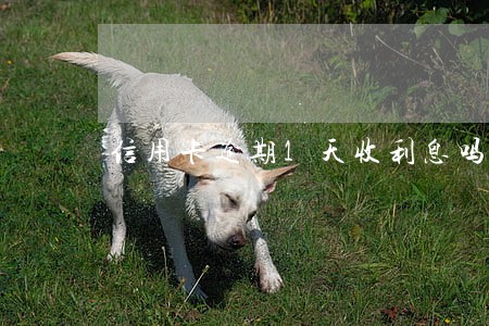 信用卡逾期1天收利息吗