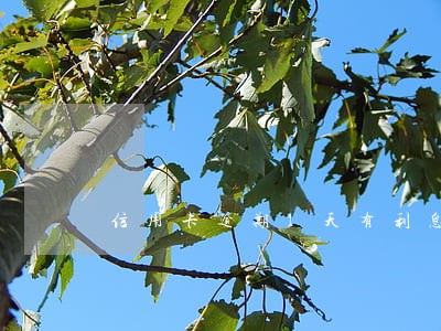 信用卡逾期1天有利息吗 信用卡逾期1天有利息吗
