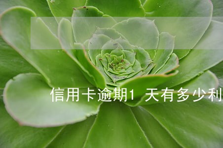 信用卡逾期1天有多少利息 信用卡逾期1天有多少利息