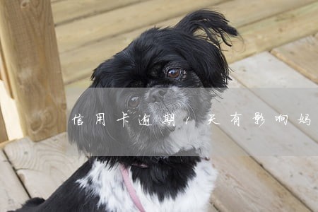 信用卡逾期1天有影响妈妈 信用卡逾期1天有影响妈妈