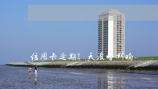 信用卡逾期1天没啥影响 信用卡逾期1天没啥影响