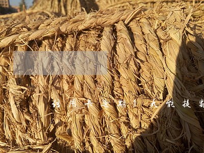 信用卡逾期1天能提额吗 信用卡逾期1天能提额吗