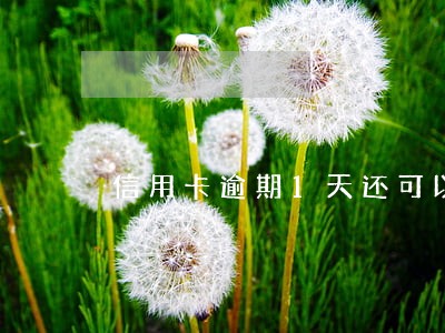 信用卡逾期1天还可以最低还款 信用卡逾期1天还可以最低还款