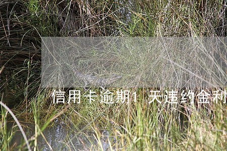 信用卡逾期1天违约金利息900 信用卡逾期1天违约金利息900