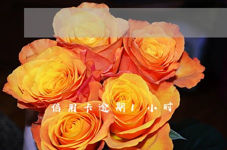 信用卡逾期1小时