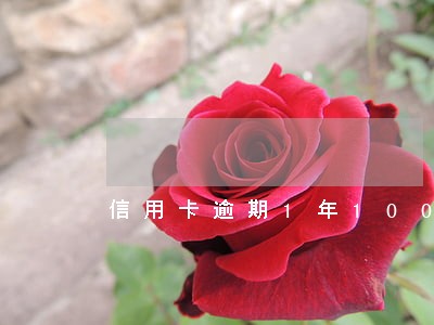 信用卡逾期1年1000 信用卡逾期1年1000